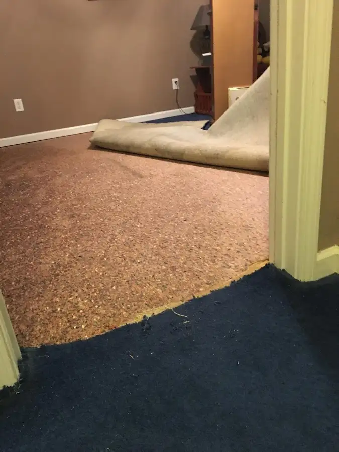 Carpet pad removal revealing water damage during Water Mitigation Services in Estes Park