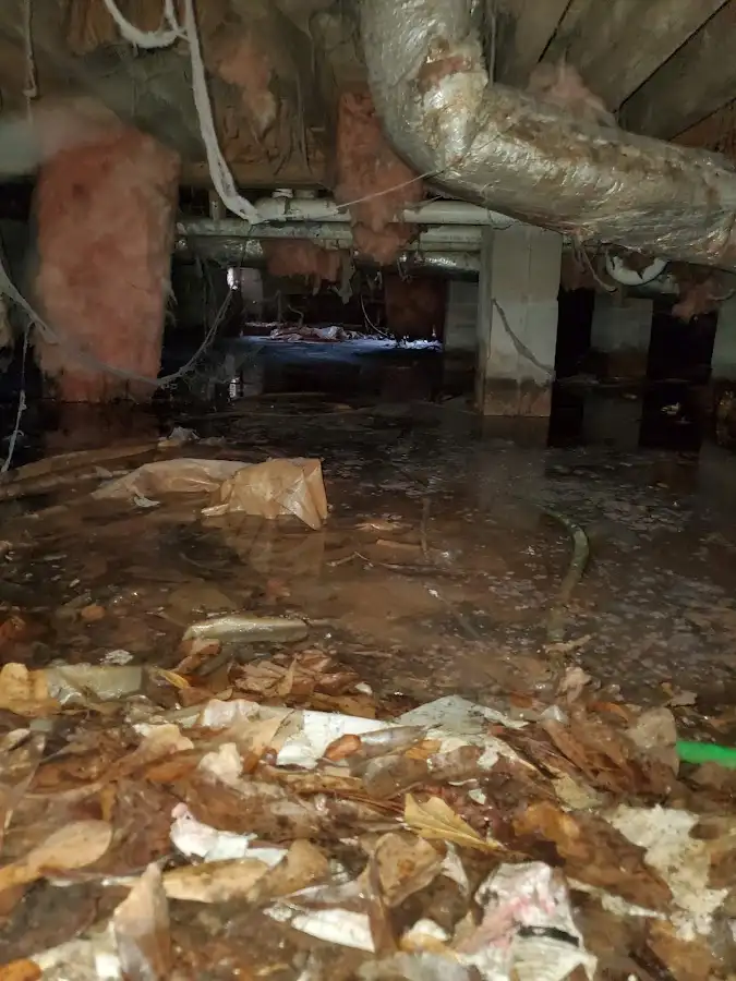 Crawl space flood assessment for Leak Detection & Repair in Estes Park