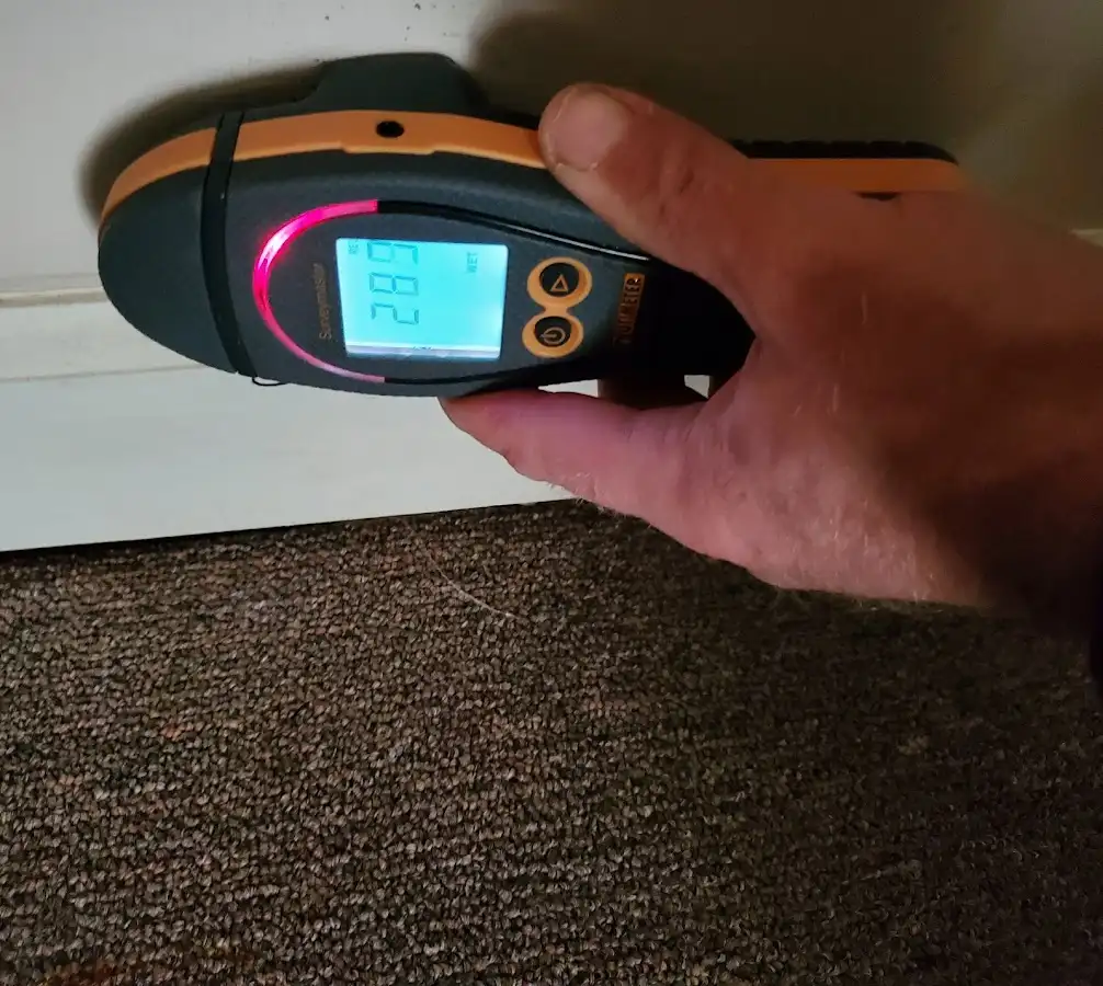 Moisture detection at baseboard during Sewage Cleanup & Sanitation in Estes Park